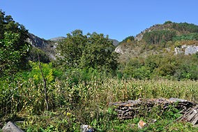 Cheile Cibului