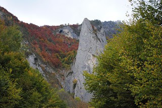 Sesul Craiului - Scarita-Belioara