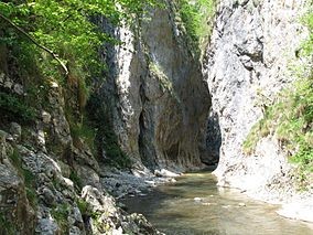 Cheile Rametului