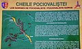 Cheile Pociovalistei