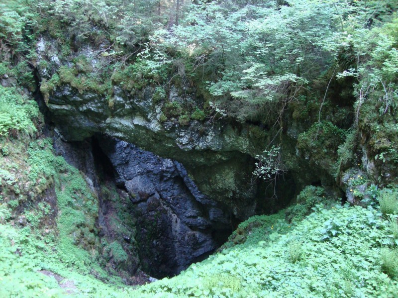 Avenul Gemenele