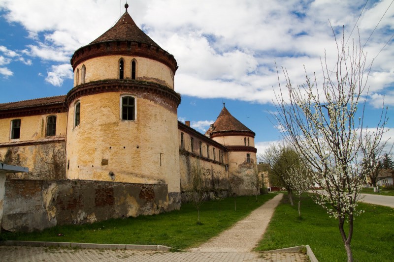 Cetatea Ineului