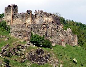 Cetatea Soimos