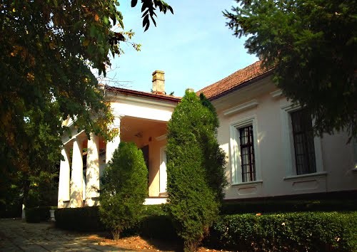 Muzeul Memorial Ioan Slavici si Emil Montia