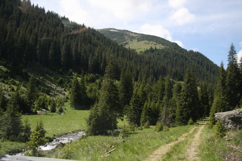 Rezervatia naturala Valea Valsanului