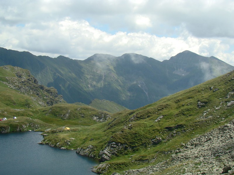 Golul alpin Moldoveanu - Capra