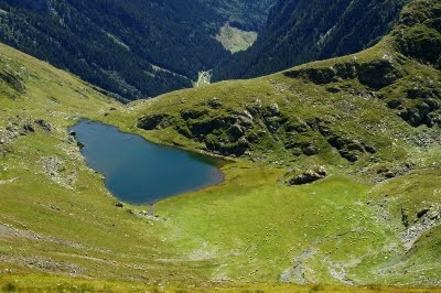 Lacul Buda