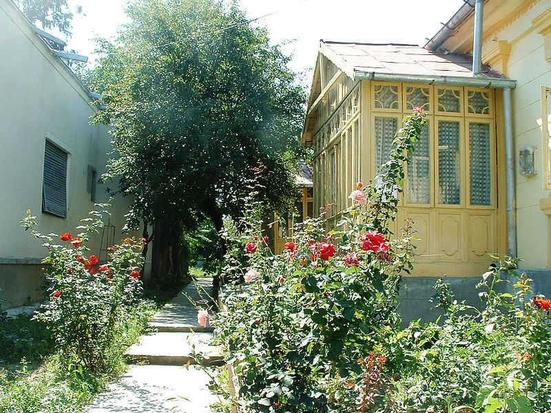Casa Memoriala \"George Bacovia\"