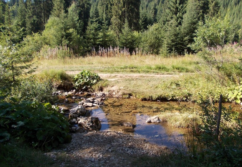 Platoul carstic Lumea Pierduta