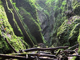 Valea Sighistelului