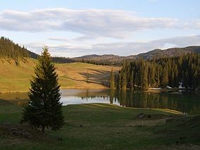 Platoul Carstic Padis