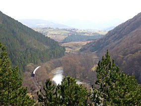 Defileul Crisului Repede