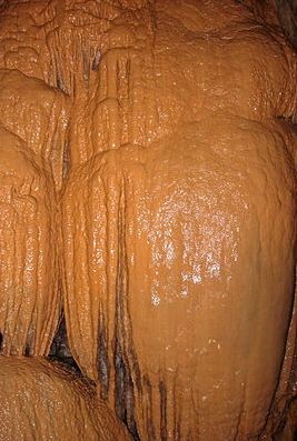 Pestera Vadu Crisului