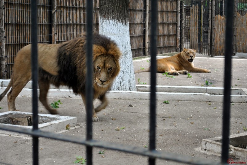 Parcul Zoologic Braila