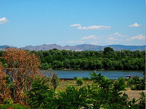 Parcul Natural Balta Mica a Brailei