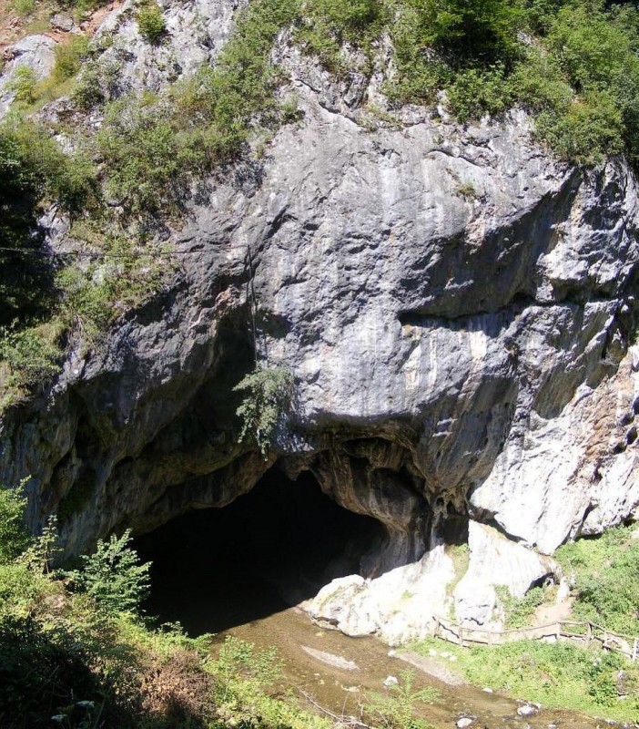 Pestera Barlogul Ursului
