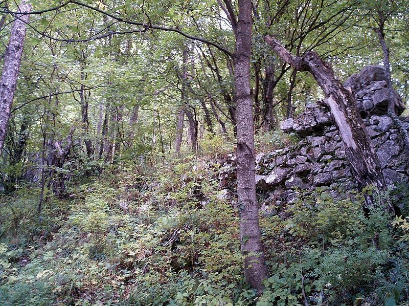 Cetatea Brassovia