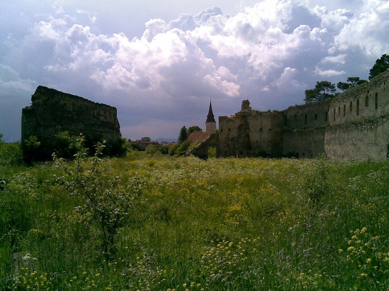 Cetatea Feldioarei