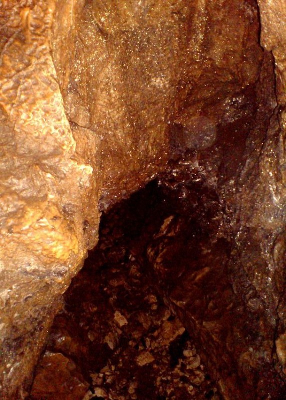 Pestera Rasnoavei