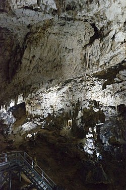 Pestera Valea Cetatii