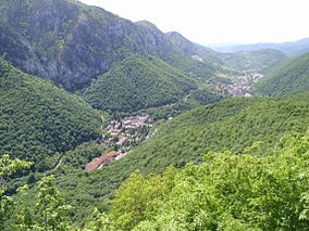 Rezervatia Domogled