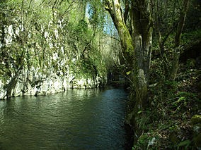 Cheile Carasului