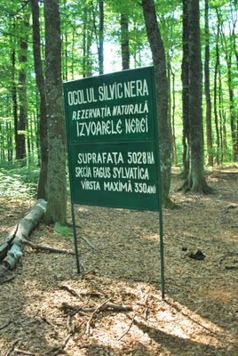 Rezervatia Naturala Izvoarele Nerei