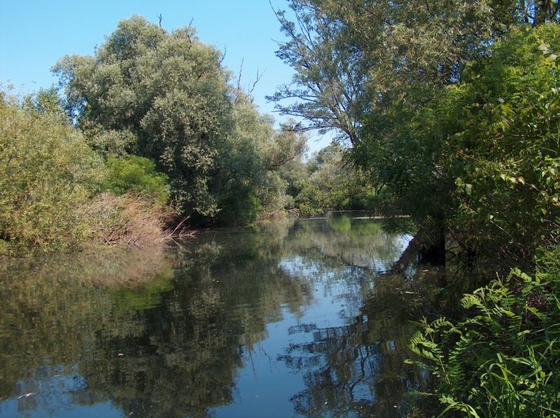 Rezervatia Naturala Balta Nera-Dunare