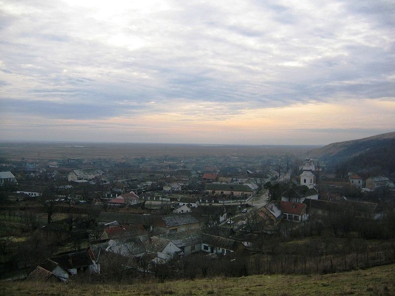 Cetatea Arcidava