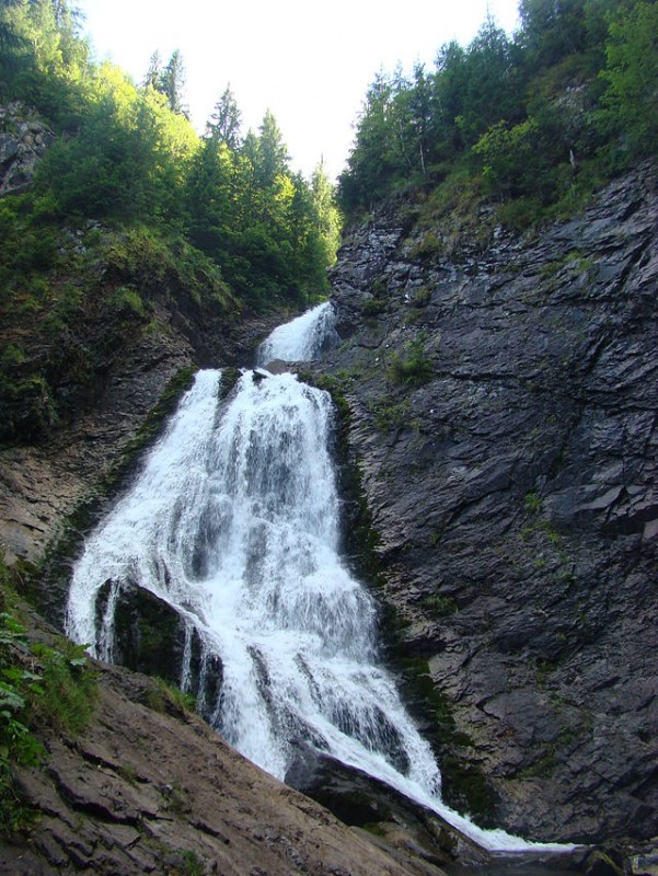 Cascada Rachitele