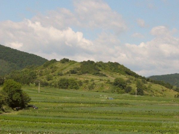 Cetatea Moldovenesti