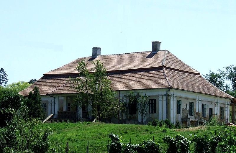 Castelul Wass