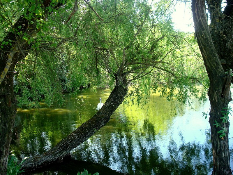 Parcul Zoologic Turda
