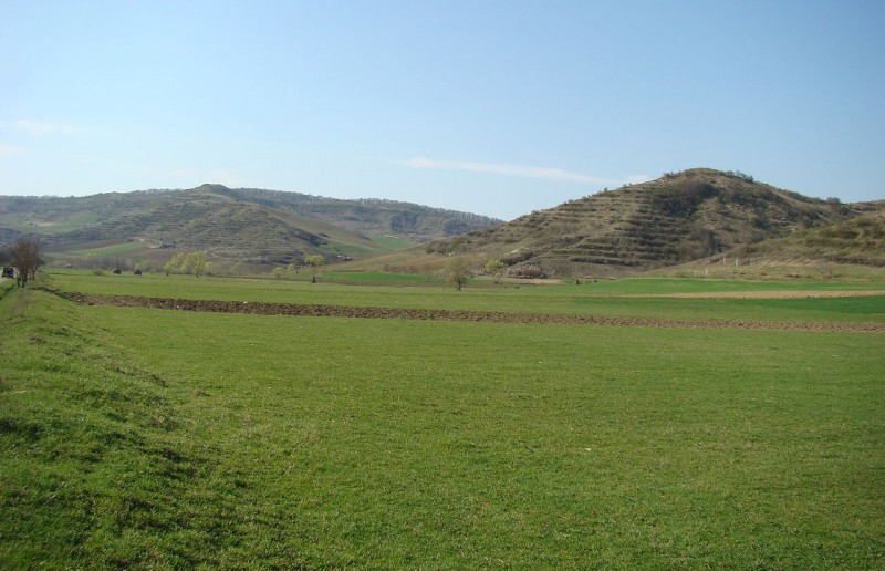 Cetatea Unguras