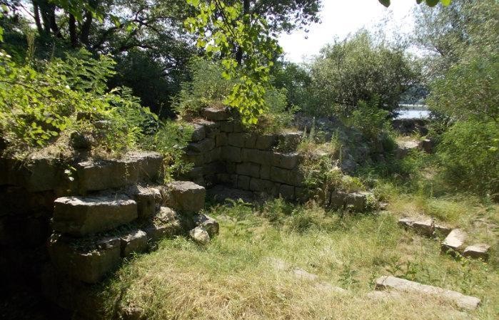 Cetatea Pacuiul lui Soare