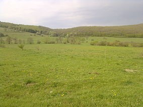Dealul Ciocas - Dealul Vitelului