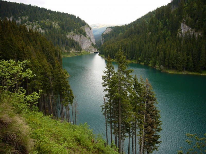 Lacul Bolboci