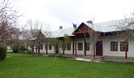 Casa Memoriala \"Costache Negri\"
