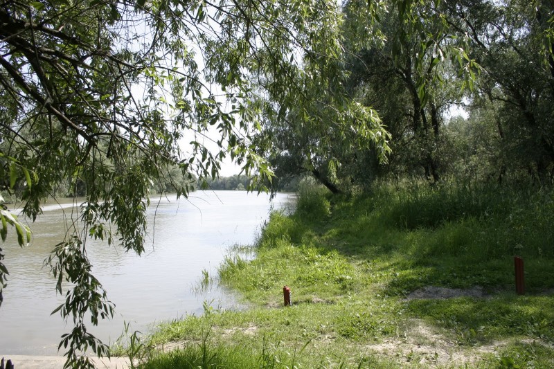 Parcul Natural Lunca Joasa a Prutului Inferior
