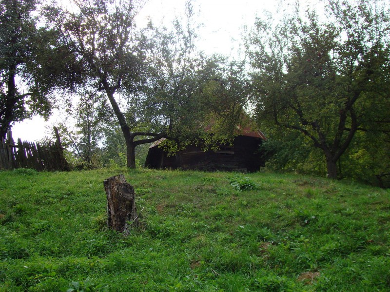Parcul National Defileul Jiului