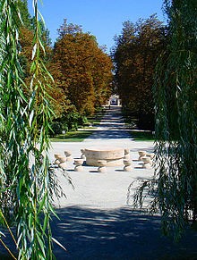 Masa tacerii