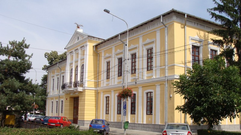 Muzeul Judetean „Alexandru Stefulescu”