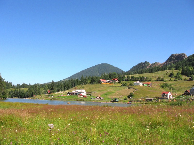 Rezervatia naturala Paraul Dobreanului