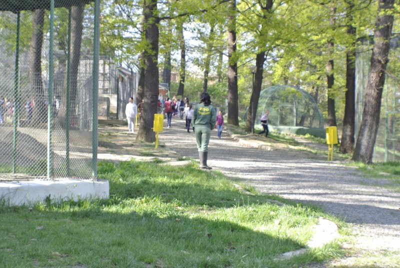 Gradina Zoologica Hunedoara