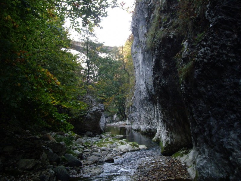 Cheile Crivadiei