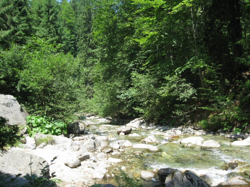 Cheile Jietului