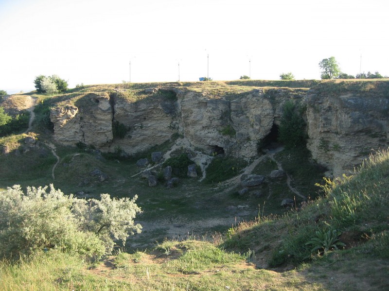Rezervatia naturala \"Locul fosilifer Dealul Repedea\"