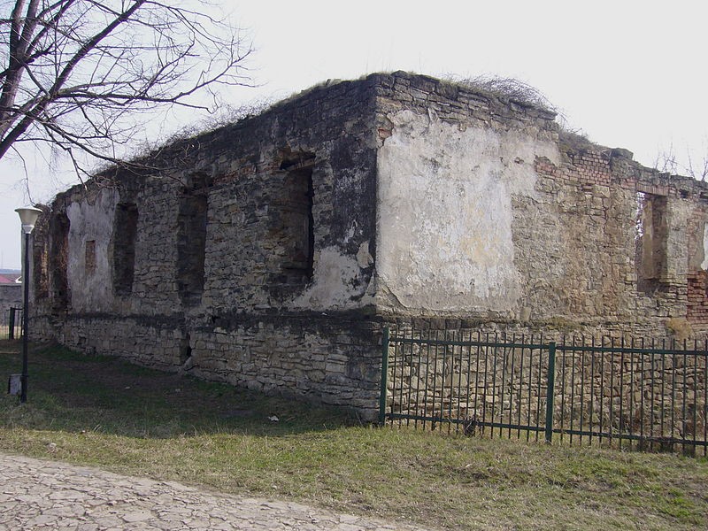 Ruinele Palatului domnesc