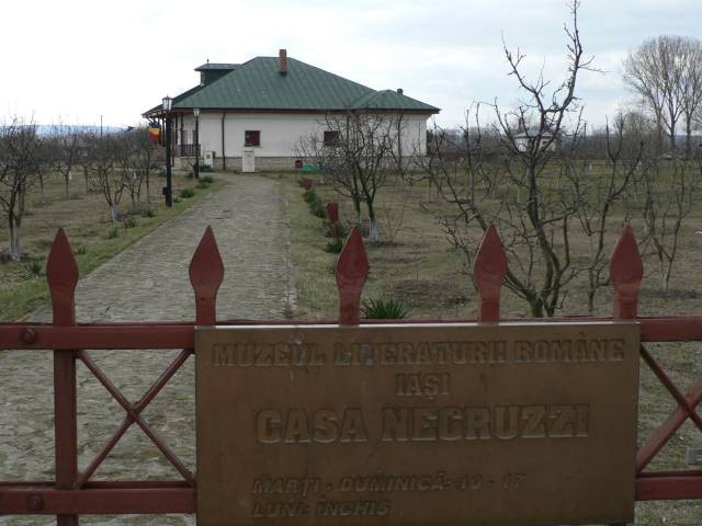 Muzeul \"Costache Negruzzi\"
