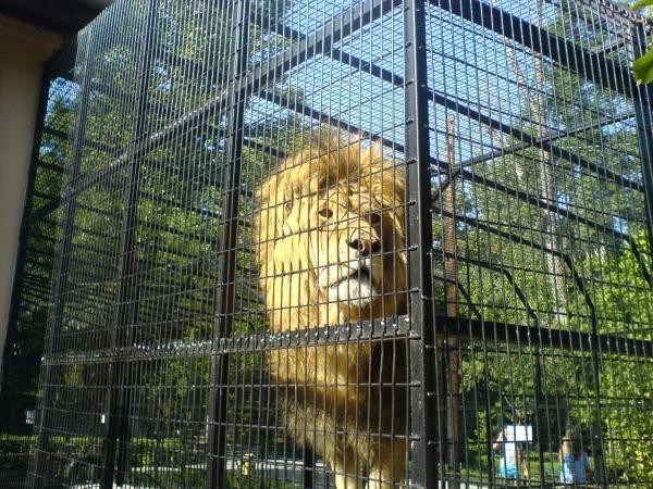 Gradina Zoologica Baneasa